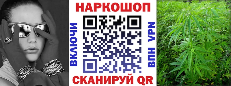 Псилоцибиновые грибы Юрьев-Польский