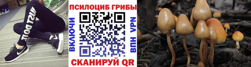 Псилоцибиновые грибы GOLDEN TEACHER  OMG ONION  Юрьев-Польский 